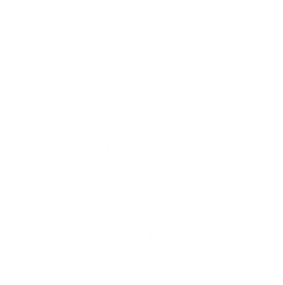 Fiitech